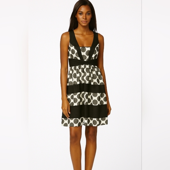 Ivy + blu polka dot dress - Picture 1 of 10